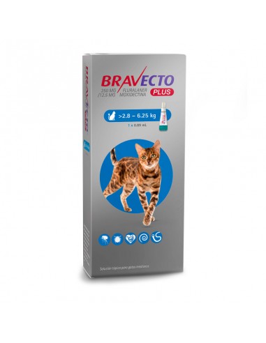 Bravecto Plus Gato 2,8 a 6,25 kg.