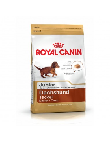 Royal Canin Dachshund Puppy 2.5 kg.