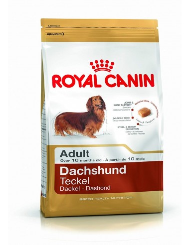 Royal Canin Dachshund Adulto 2,5 kg.