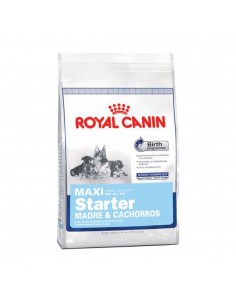 Royal Canin Maxi Starter 10...