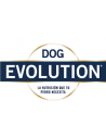 Dog Evolution